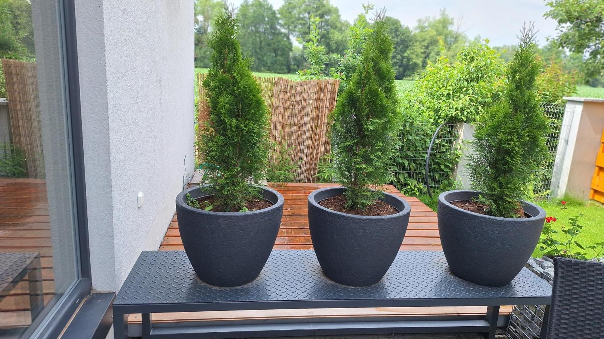 Bungalov Na Brehu Labe S Vlastnim Molem Pardubice Kültér fotó